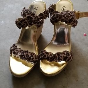 Leopard wedges Carlos Santana